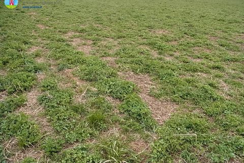 Terra a Paese, Treviso, Paese - € 140.000 | Ref: 623 - foto 2