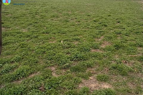 Terra a Paese, Treviso, Paese - € 140.000 | Ref: 623 - foto 3