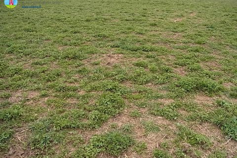 Terra a Paese, Treviso, Paese - € 140.000 | Ref: 623 - foto 4