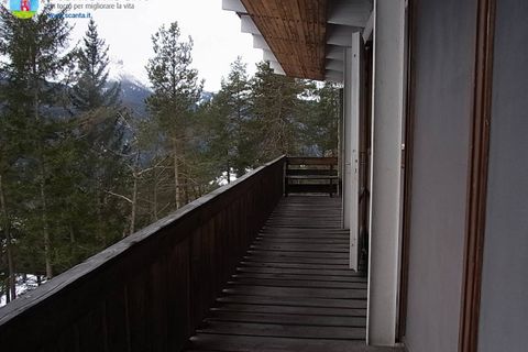 Villa i Borca di Cadore, Belluno, Borca di Cadore - € 395.000 | Ref: 679 - foto 17