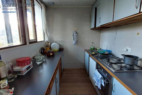 Villa a Borca di Cadore, Belluno, Borca di Cadore - € 380.000 | Ref: 776 - foto 7