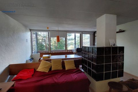 Villa a Borca di Cadore, Belluno, Borca di Cadore - € 380.000 | Ref: 776 - foto 9