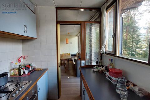 Villa a Borca di Cadore, Belluno, Borca di Cadore - € 380.000 | Ref: 776 - foto 11