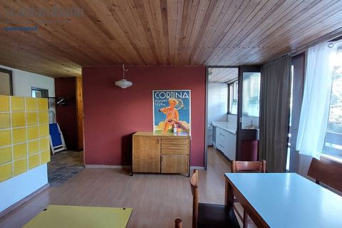 Villa a Borca di Cadore, Belluno, Borca di Cadore - € 395.000 | Ref: 779 - foto 2