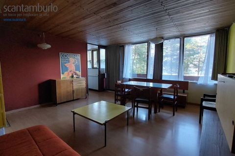 Villa a Borca di Cadore, Belluno, Borca di Cadore - € 395.000 | Ref: 779 - foto 11