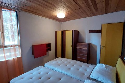 Villa a Borca di Cadore, Belluno, Borca di Cadore - € 395.000 | Ref: 779 - foto 21