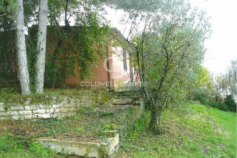 Terra a Velletri, Rome, Velletri - € 1.400.000 | Ref: CBI102-1061-10167 - foto 2