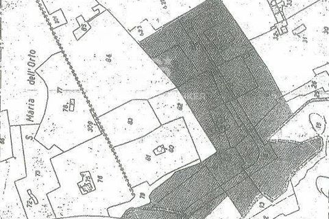 Terra a Velletri, Rome, Velletri - € 1.400.000 | Ref: CBI102-1061-10167 - foto 3