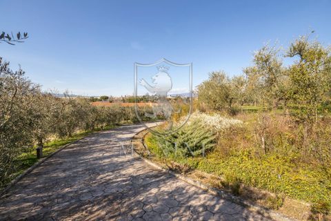 Villa i Arezzo, Arezzo, Arezzo - € 5.000.000 | Ref: 227 - foto 4