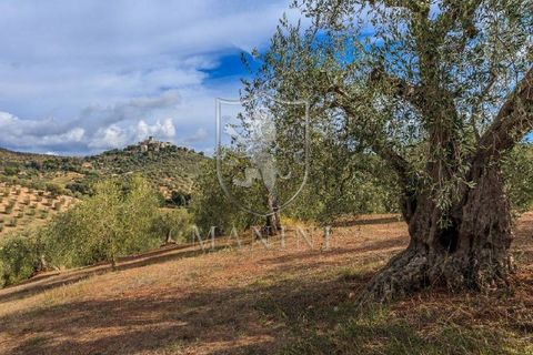 Villa a Capalbio, Grosseto, Capalbio - € 1.980.000 | Ref: 282 - foto 12