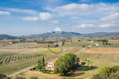 Villa a Capalbio, Grosseto, Capalbio - € 1.980.000 | Ref: 282 - foto 15