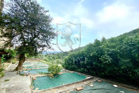 Rækkehus i Sinalunga, Siena, Sinalunga - € 380.000 | Ref: 305 - foto 29