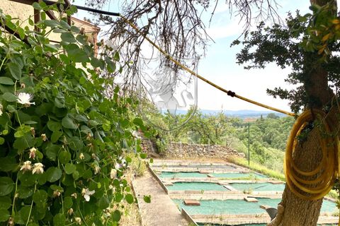 Rækkehus i Sinalunga, Siena, Sinalunga - € 380.000 | Ref: 305 - foto 43