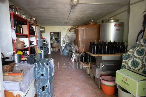 Landejendom i Siena, Siena, Siena - € 1.200.000 | Ref: 317 - foto 44
