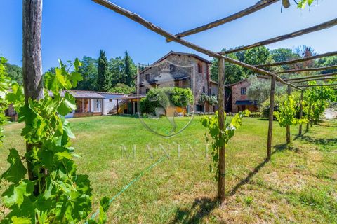 Landejendom i Terranuova Bracciolini, Arezzo, Terranuova Bracciolini - € 990.000 | Ref: 318 - foto 2