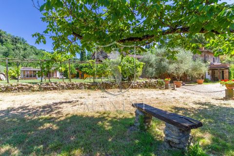 Landejendom i Terranuova Bracciolini, Arezzo, Terranuova Bracciolini - € 990.000 | Ref: 318 - foto 4