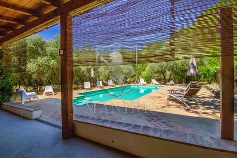 Landejendom i Terranuova Bracciolini, Arezzo, Terranuova Bracciolini - € 990.000 | Ref: 318 - foto 6