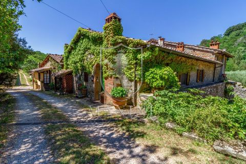 Landejendom i Terranuova Bracciolini, Arezzo, Terranuova Bracciolini - € 990.000 | Ref: 318 - foto 7