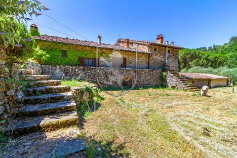 Landejendom i Terranuova Bracciolini, Arezzo, Terranuova Bracciolini - € 990.000 | Ref: 318 - foto 9