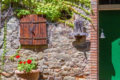 Landejendom i Terranuova Bracciolini, Arezzo, Terranuova Bracciolini - € 990.000 | Ref: 318 - foto 11