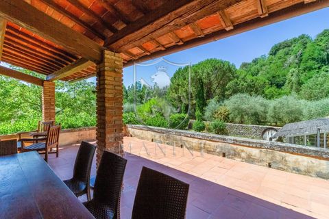 Landejendom i Terranuova Bracciolini, Arezzo, Terranuova Bracciolini - € 990.000 | Ref: 318 - foto 12