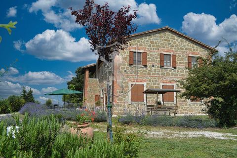 Landejendom i Pienza, Siena, Pienza - € 2.400.000 | Ref: 323 - foto 45