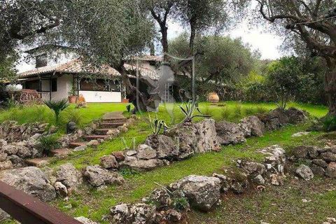 Villa a Capalbio, Grosseto, Capalbio - € 1.290.000 | Ref: 328 - foto 3