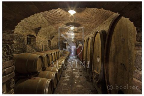 Landejendom i Certaldo, Florence, Certaldo - € 7.000.000 | Ref: 334 - foto 4