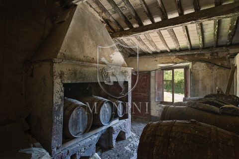 Landejendom i Certaldo, Florence, Certaldo - € 7.000.000 | Ref: 334 - foto 9