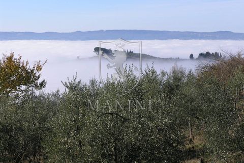 Landejendom i Certaldo, Florence, Certaldo - € 7.000.000 | Ref: 334 - foto 18