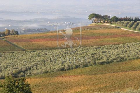 Landejendom i Certaldo, Florence, Certaldo - € 7.000.000 | Ref: 334 - foto 25