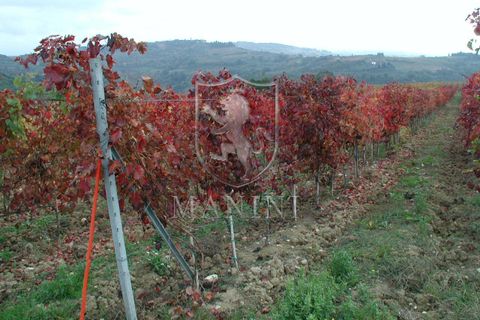 Landejendom i Certaldo, Florence, Certaldo - € 7.000.000 | Ref: 334 - foto 26