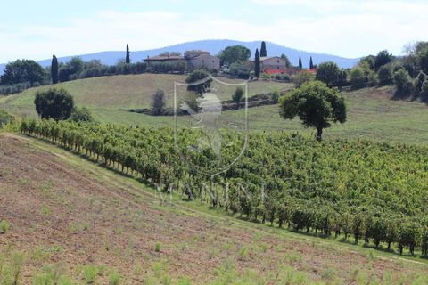 Landejendom i Poggibonsi, Siena, Poggibonsi - € 3.900.000 | Ref: 360 - foto 22