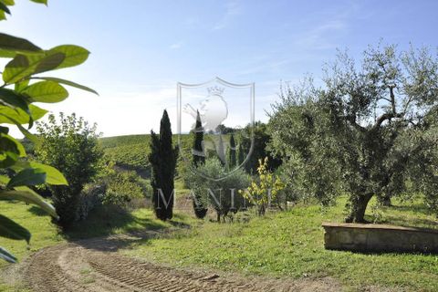 Landejendom i Poggibonsi, Siena, Poggibonsi - € 3.900.000 | Ref: 360 - foto 31