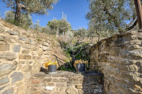 Landejendom i Cortona, Arezzo, Cortona - € 890.000 | Ref: 386 - foto 39