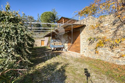 Landejendom i Cortona, Arezzo, Cortona - € 890.000 | Ref: 386 - foto 41