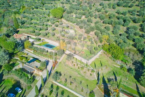 Landejendom i Cortona, Arezzo, Cortona - € 890.000 | Ref: 386 - foto 44