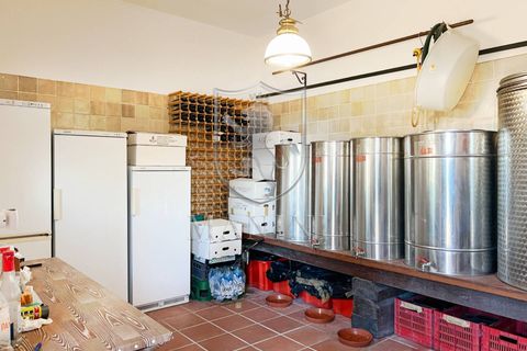 Landejendom i Pienza, Siena, Pienza - € 2.790.000 | Ref: 391 - foto 38