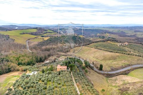 Landejendom i Trequanda, Siena, Trequanda - € 890.000 | Ref: 397 - foto 3