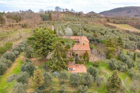Landejendom i Trequanda, Siena, Trequanda - € 890.000 | Ref: 397 - foto 5