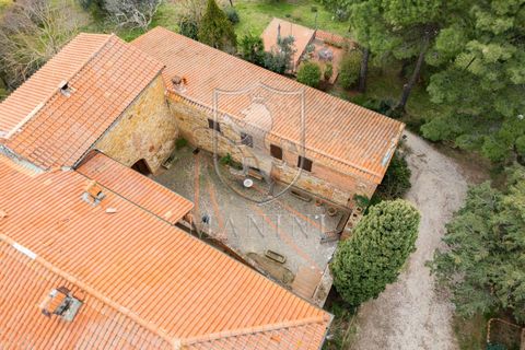 Landejendom i Trequanda, Siena, Trequanda - € 890.000 | Ref: 397 - foto 6