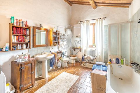 Landejendom i Trequanda, Siena, Trequanda - € 890.000 | Ref: 397 - foto 22