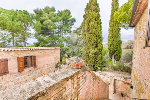 Landejendom i Trequanda, Siena, Trequanda - € 890.000 | Ref: 397 - foto 35