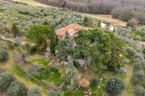 Landejendom i Trequanda, Siena, Trequanda - € 890.000 | Ref: 397 - foto 36