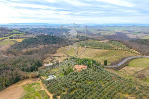 Landejendom i Trequanda, Siena, Trequanda - € 890.000 | Ref: 397 - foto 37