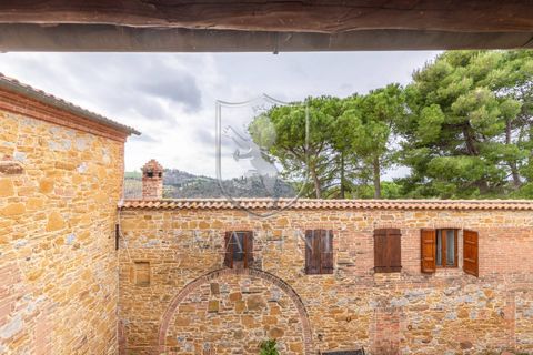 Landejendom i Trequanda, Siena, Trequanda - € 890.000 | Ref: 397 - foto 38