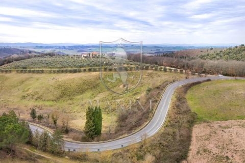 Landejendom i Trequanda, Siena, Trequanda - € 890.000 | Ref: 397 - foto 39