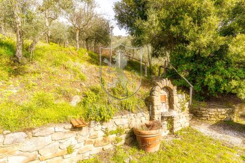 Landejendom i Cortona, Arezzo, Cortona - € 730.000 | Ref: 400 - foto 29