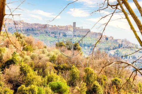Landejendom i Cortona, Arezzo, Cortona - € 730.000 | Ref: 400 - foto 32