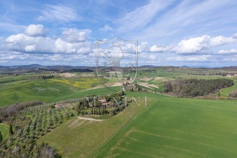 Landejendom i Pienza, Siena, Pienza - € 1.950.000 | Ref: 404 - foto 5